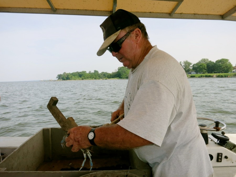 Calvert County Southern Maryland Rich In Fossils And More