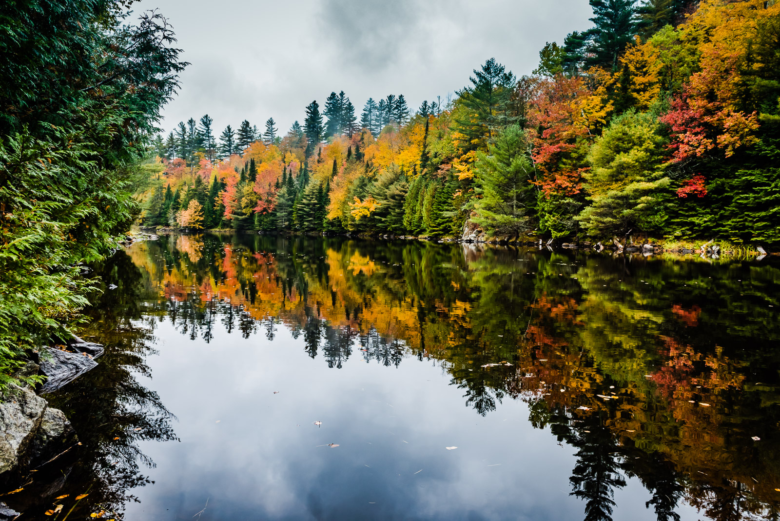 Best Fall Foliage In The Northeast