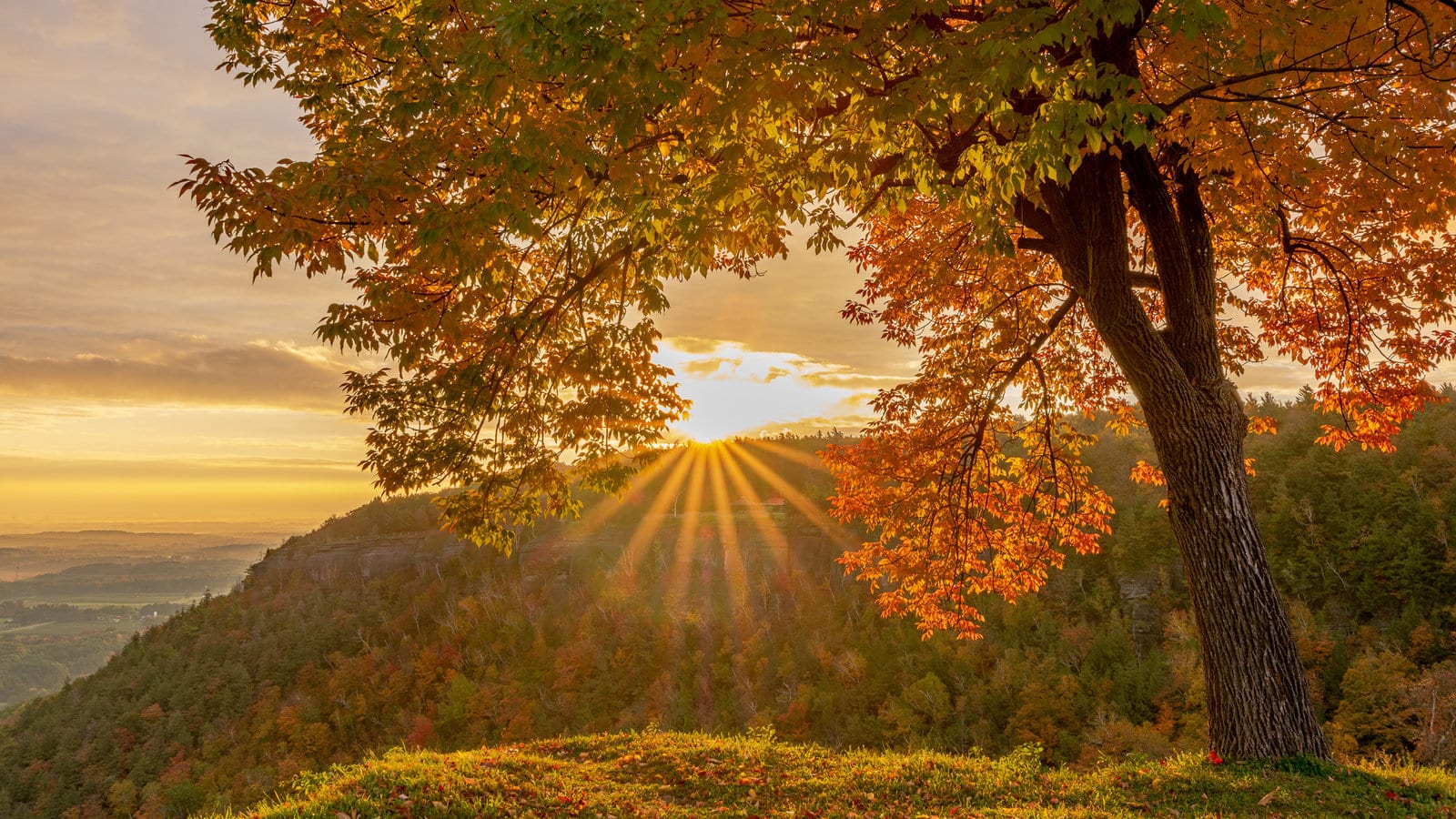 fall colors sunrise
