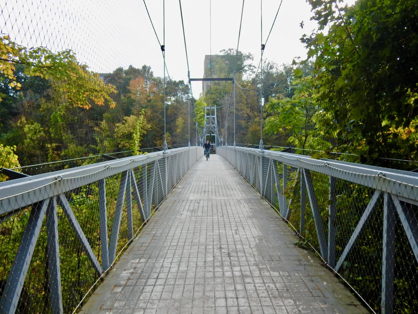 Puente colgante de Cornell Height Ithaca NY