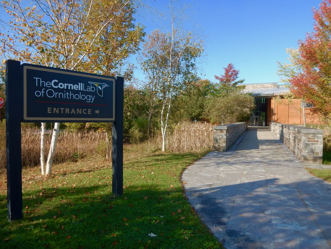 The Cornell Lab of Ornithology Ithaca NY