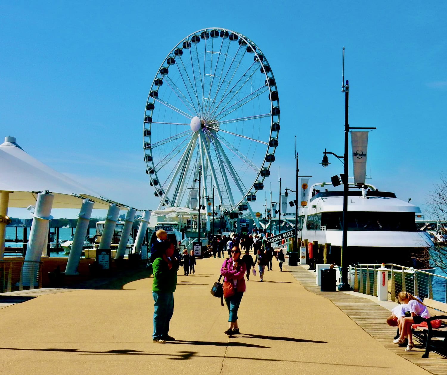 Capital Wheel National Harbor