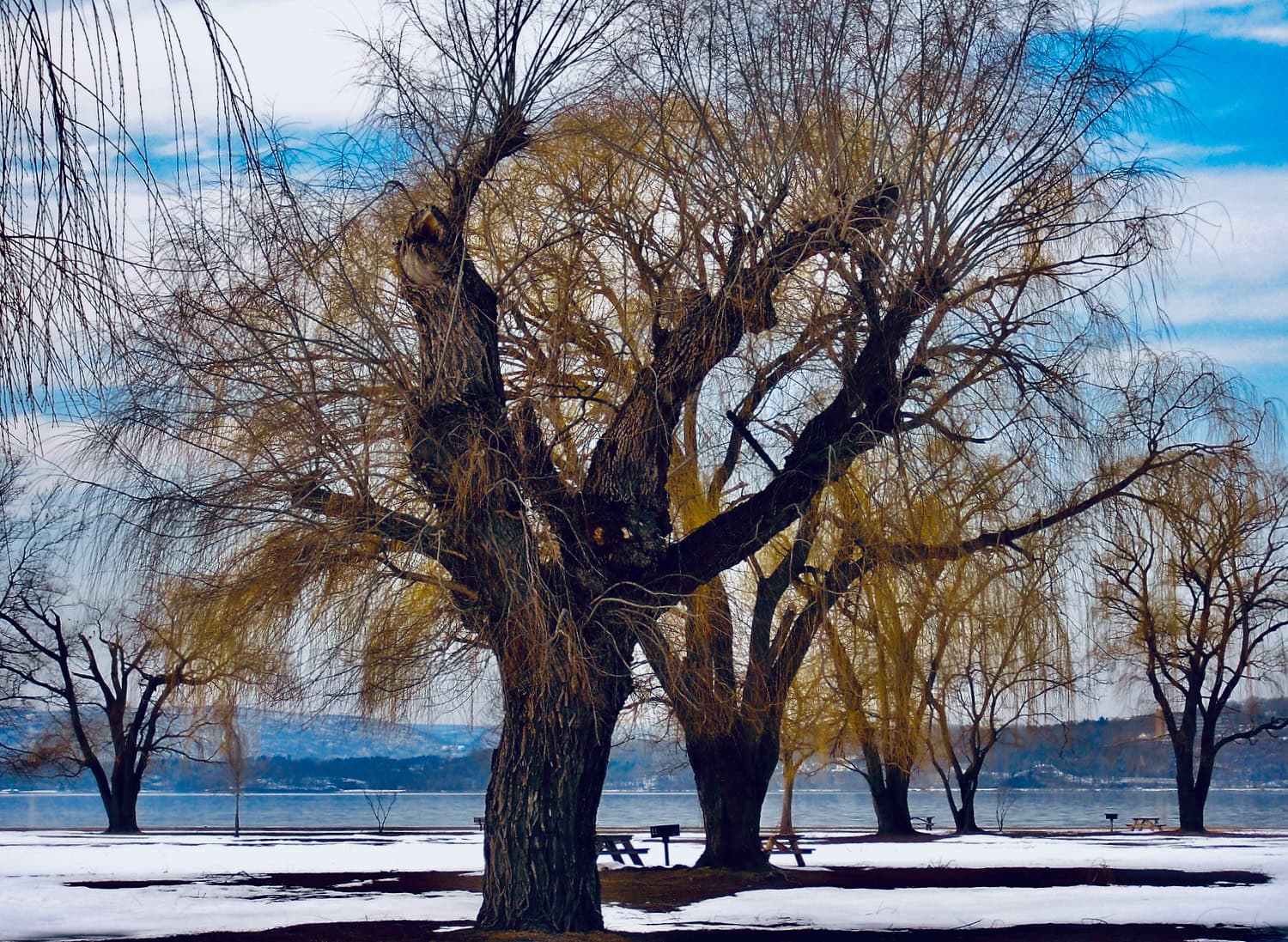 Croton Point Park NY in Winter