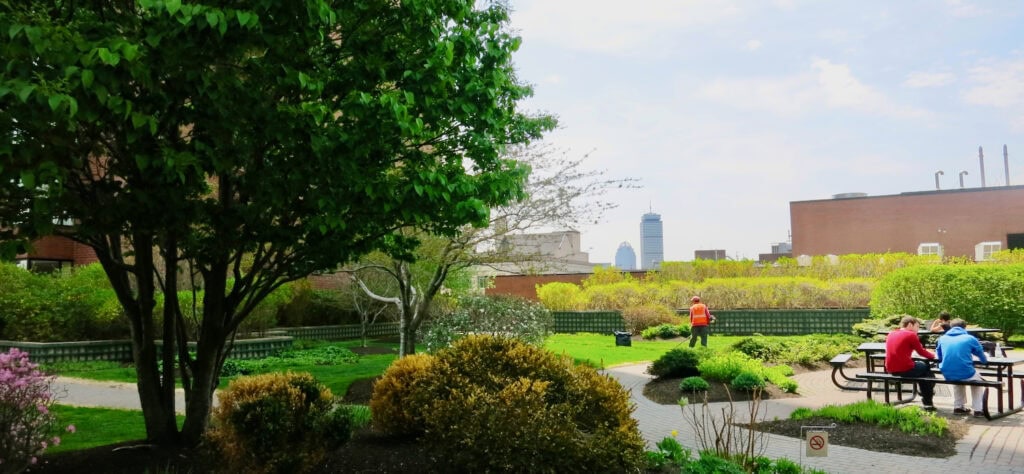 Urban Park Rooftop Garden, Kendall Center Cambridge MA