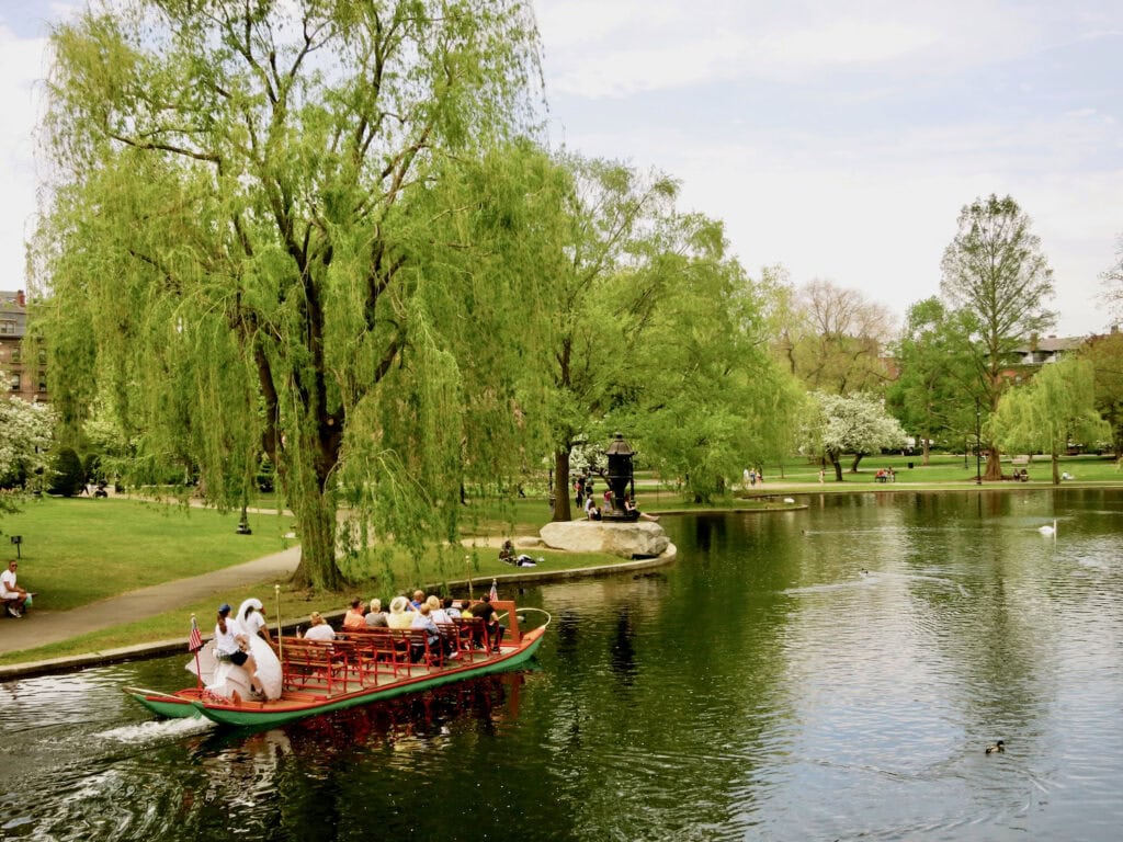 Boston Commons Swan Boats