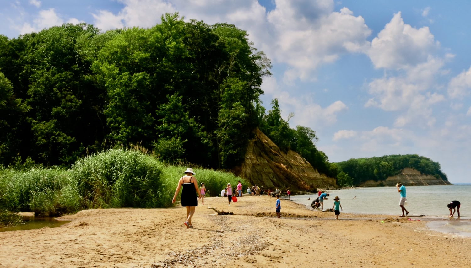 Calvert Cliffs State Park visitors looking for ancient shark teeth.