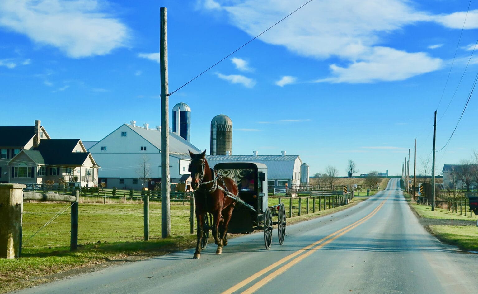 Lancaster County Amish Buggy PA 1536x944 