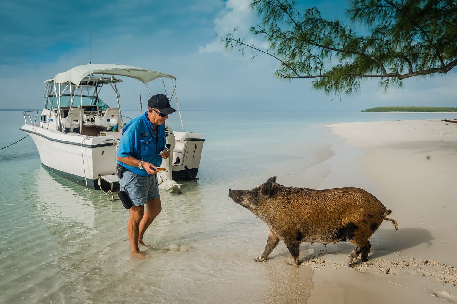 Hope Town Bahamas | Romantic Getaway In The Caribbean