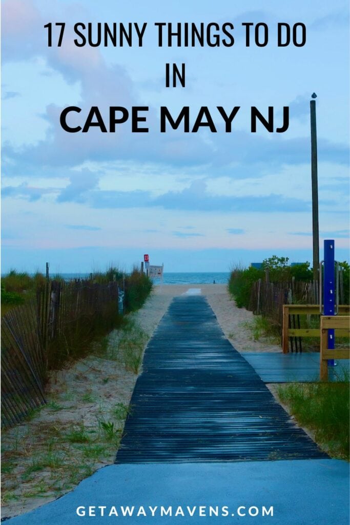 Canines of the Cape – Cape May Magazine