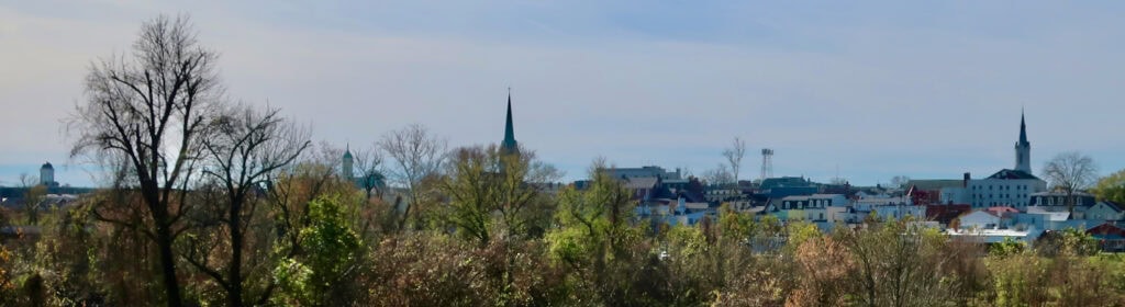 Spires of Fredericksburg from Chatham Manor