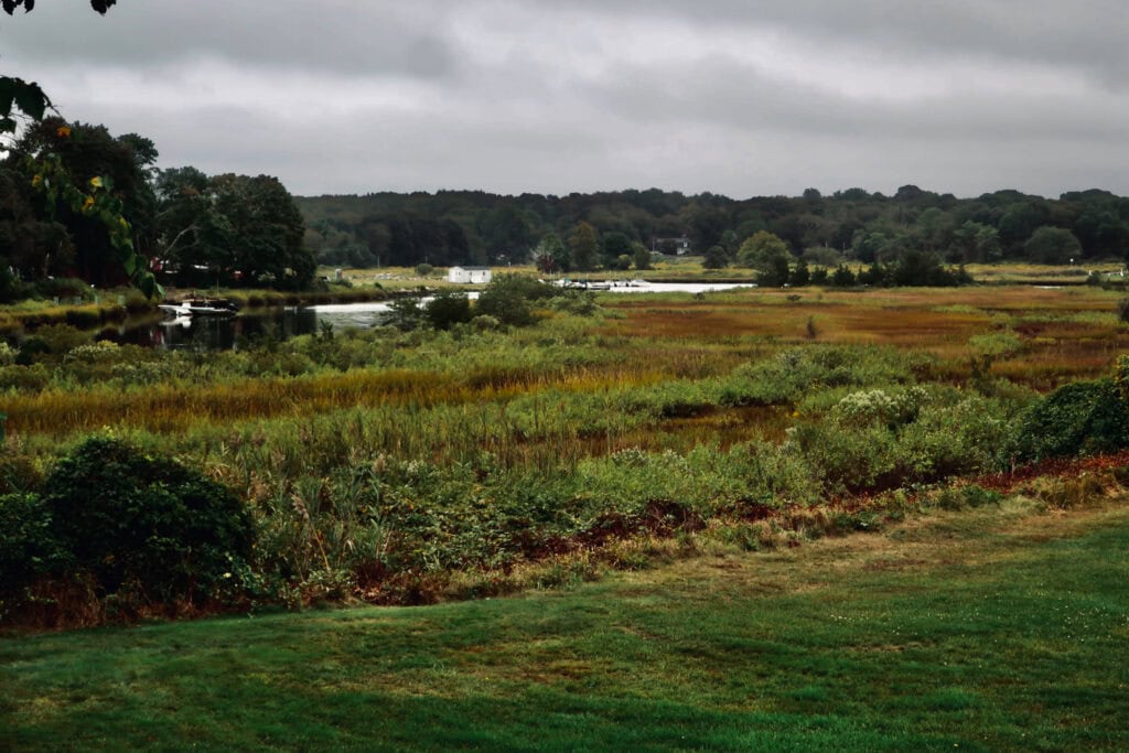 Saltwater Farm Vineyard salt marsh river view