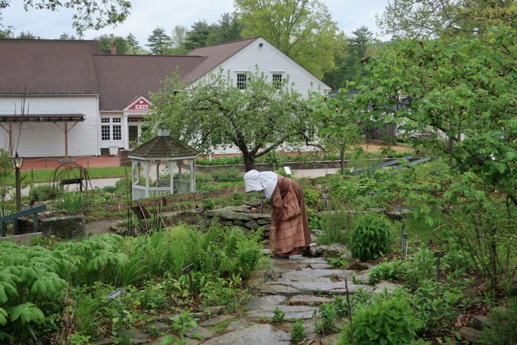 Costumed interpreter tending to herb garden at Old Sturbridge Village MA