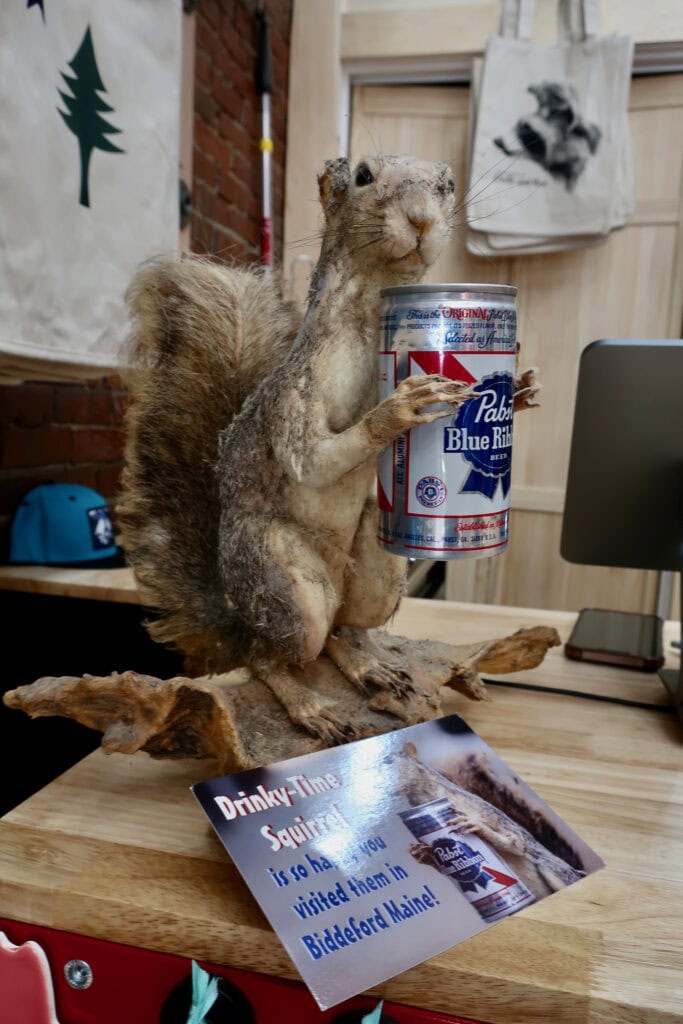 Welcome to quirky Biddeford Maine Squirrel holding can of beer.