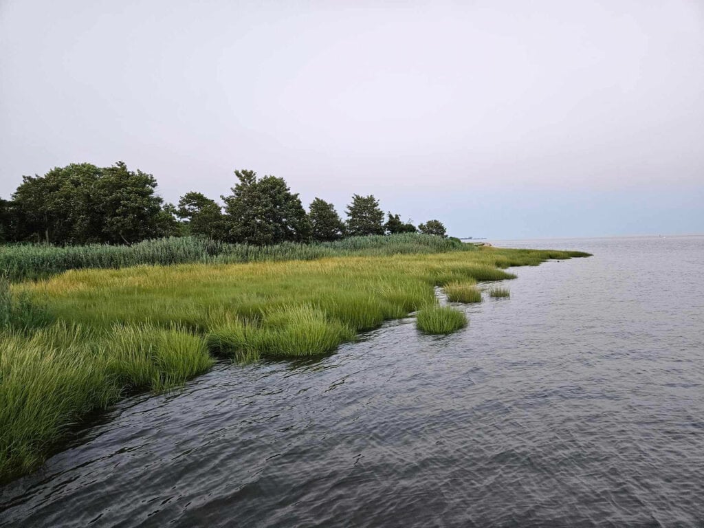 Old Saybrook Point marsh at Long Island Sound